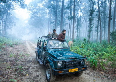 Morning Safari in Dhikala